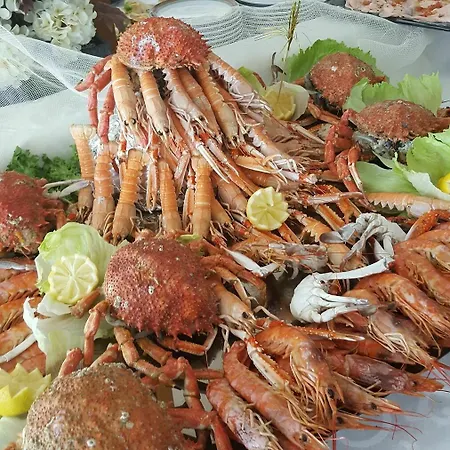 Baya - In Centro, Sul Mare Hotel Milano Marittima